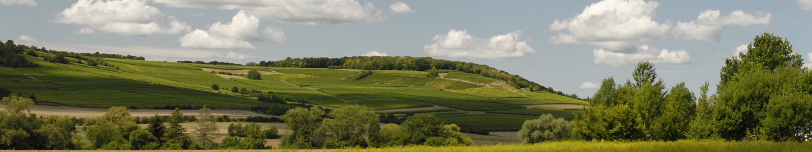 grüne Hügellandschaft ©DLR